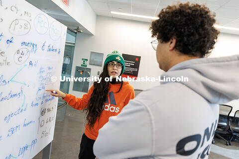 Graduate student Sahar Beigzadeh (left) shows freshman Ahmed Salem how to record his findings from h