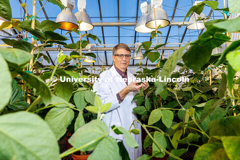 Edgar Cahoon, George Holmes Professor of Biochemistry and Director of the University’s Center for 