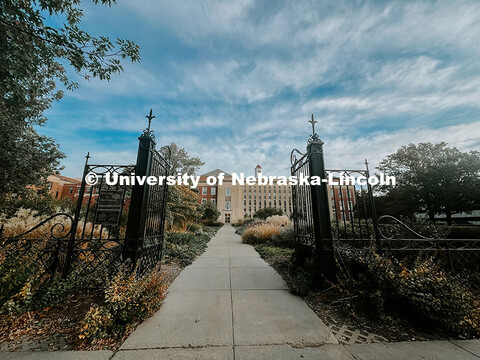 Fall photos on City Campus. July 1, 2024. Taylor DeMaro / University Communication.