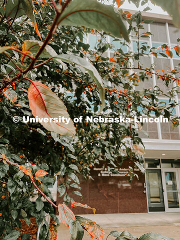 Close up exterior view of Anderson Hall. Fall photos on City Campus. July 1, 2024. Taylor DeMaro / U