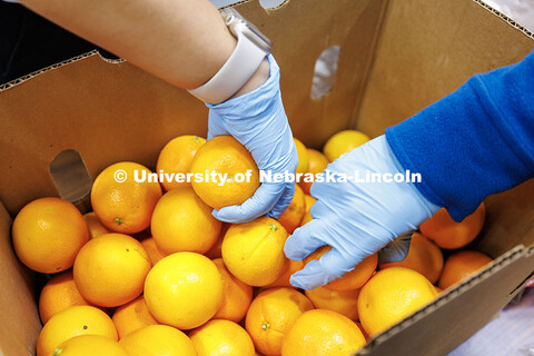 University of Nebraska–Lincoln students grab oranges from a box during SLICE’s Engage Lincoln Vo