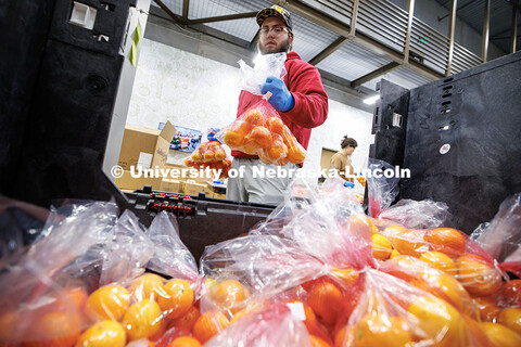 Mitch Breuer, junior Regional and Community Forestry major, places bags or oranges into a container 