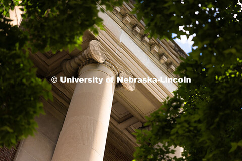 Tree branches frame a column on Louise Pound Hall. 