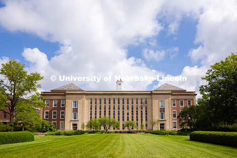 The grass south of Love Library is vibrantly green after days of May rain showers. Spring on City Ca