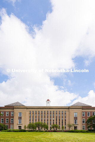 The grass south of Love Library is vibrantly green after days of May rain showers. Spring on City Ca