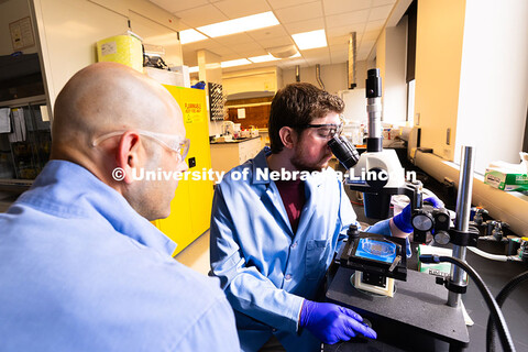 Brennan Watts, a fourth-year doctoral student, looks through a microscope at a checkerboard-patterne