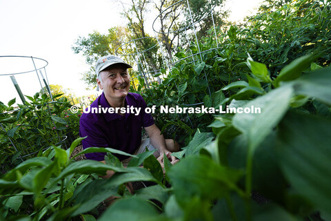 Bill Sorensen grins over the tops of his hot pepper plants in the plot he rents in the East Campus C