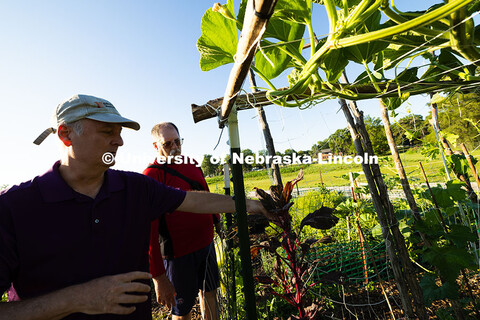 Bill Sorensen gestures at a stalk of amaranth, which produces edible leaves and seeds, or can remain