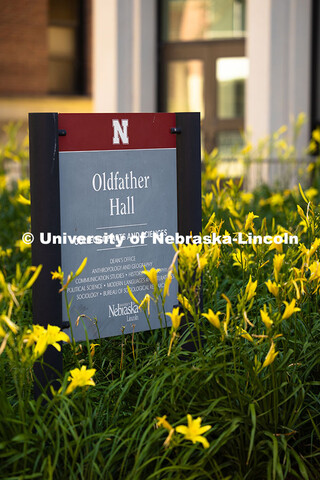 Yellow lilies surround the Oldfather Hall sign on a warm July morning. July 9, 2025. 
