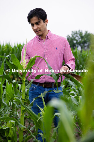 Vladimir Torres-Rodriguez, a research assistant professor in agronomy and horticulture, checks on co