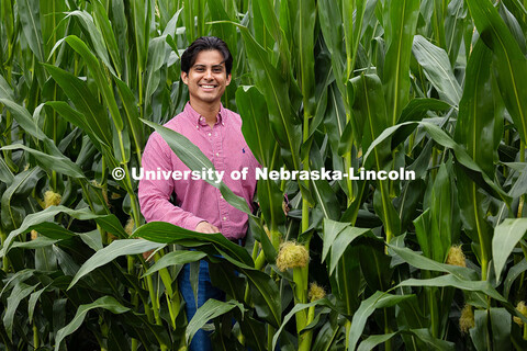 Vladimir Torres-Rodriguez, a research assistant professor in agronomy and horticulture, poses by hyb