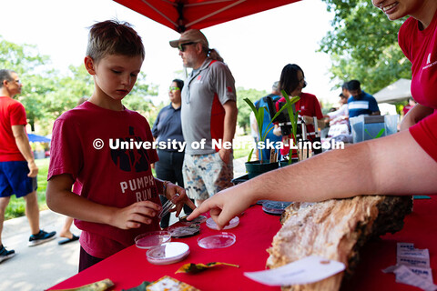Bennett Zylstra, 10, "pets" a fluffy fungus in a petri dish before rubbing his finger onto a growing