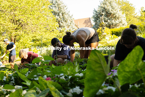 Students clean up flower beds at the Sunken Gardens during the Urban Plunge service event. 