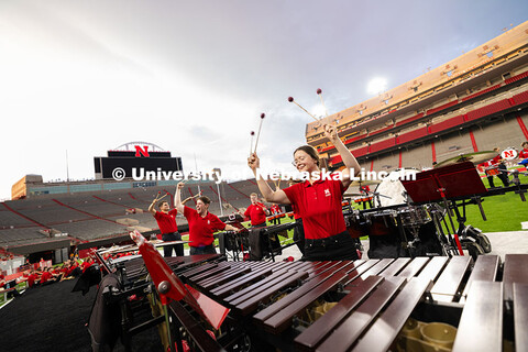 Members of the pit raise their mallets during a percussion performance within the marching band exhi