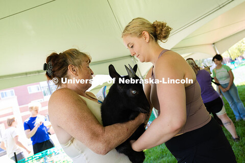 Jen Schurman, who runs Shepherd's Rest goat and sheep rescue, helps Hailee Schull hold a young goat.
