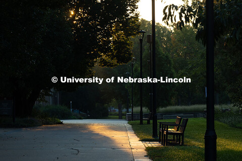 Late summer morning light filters through the trees in front of Burnett Hall before students begin m