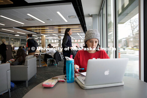 Eleanor Avery, a freshman supply chain management major, studies in Love Library's new Adele Coryell