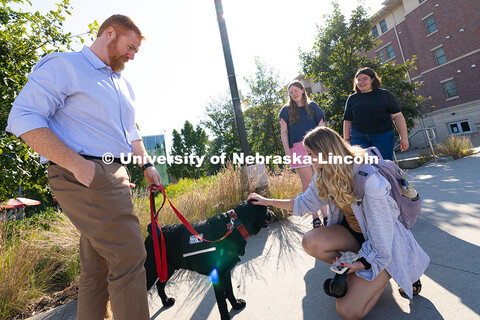 A student pets Jax, the Honors Program therapy dog, while the English labrador takes a walk with Tyl