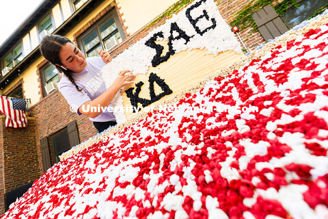 Jordan Tipton, a senior Kappa Delta member, glues tiny pom-poms to a wood board. Tipton said each of