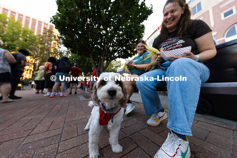 Cornhusker pup, Bucky, was happy to snarf down some spilled kettle corn while Cecily Lawton and Sara
