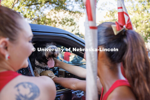 Cash, the UNL Police therapy dog, receives pets from members of the Cornhusker Marching Band Color G