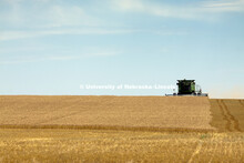 Agriculture photo shoot in south west Nebraska in Perkins County. 