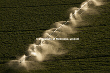 Center Pivot irrigation on soybean fields in York and Filmore counties on August 25, 2010.  