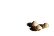 Soybeans photographed in studio. 