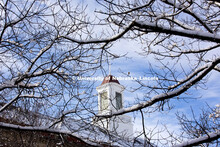 Sunlight reflects off Love Library's cupola through the snow covered trees. The UNL campus is covere