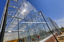 New greenhouses at Nebraska Innovation Campus will include  a section where the plants--including fu