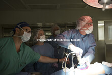 Dmitry Oleynikov, a professor and surgeon at the University of Nebraska Medical Center, operates a s