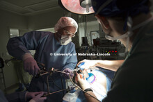 Dmitry Oleynikov, a professor and surgeon at the University of Nebraska Medical Center, operates a s