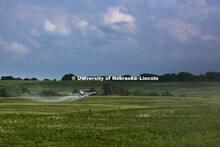 Aerial spraying above corn and soybean fields southeast of Lincoln. July 27, 2015. 