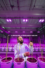 Harkamal Walia checks the progress of a rice plant growing in the Lemna Tech High Throughput Phenoty