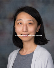 Studio portrait of Qi Zhang, New Faculty Photo Shoot, August 19, 2015. 