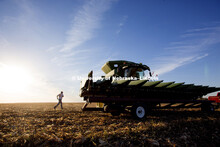 Spohn Farms, Friend, NE. Corn Harvest. South-central Nebraska.  October 15, 2015. 