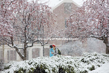 Snow fall on UNL campus.  November 30, 2015. 