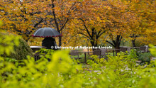 Fall on City Campus, November 5, 2018. 