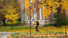 Fall on City Campus, November 5, 2018. 