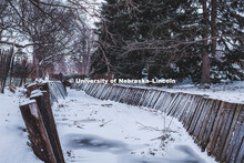 Snow covers the trees and creek that runs through the Maxwell Arboretum between the C.Y. Thompson Li