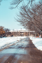 The Mall on East Campus is blanketed in snow. February 20, 2019. 