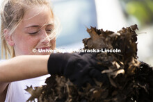 Hayley Egenes bags leaves as she and others from Kappa Alpha Theta did yard work at a couple homes s