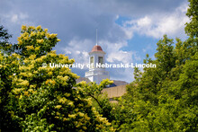 Love Library cupola, City Campus. June 12, 2019. 