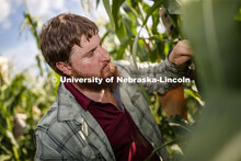 Preston Hurst, PhD student in agronomy and horticulture from Decatur, Alabama, bags the tassels of t