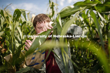 Preston Hurst, PhD student in agronomy and horticulture from Decatur, Alabama, bags the tassels of t