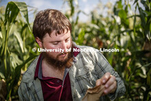 Preston Hurst, PhD student in agronomy and horticulture from Decatur, Alabama, bags the tassels of t