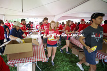 Students work their way through multiple food lines at the picnic. Big Red Welcome, Chancellor's BBQ