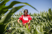 Sierra Conway uses a punch to collect samples from the leaves of several corn plants in each plot at