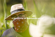James Schnable talks Christine Smith while supervising students sampling corn plants in each plot us