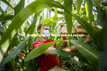 David Holding, Associate Professor of Agronomy and Horticulture, and Caleb Wehrbein, senior in plant